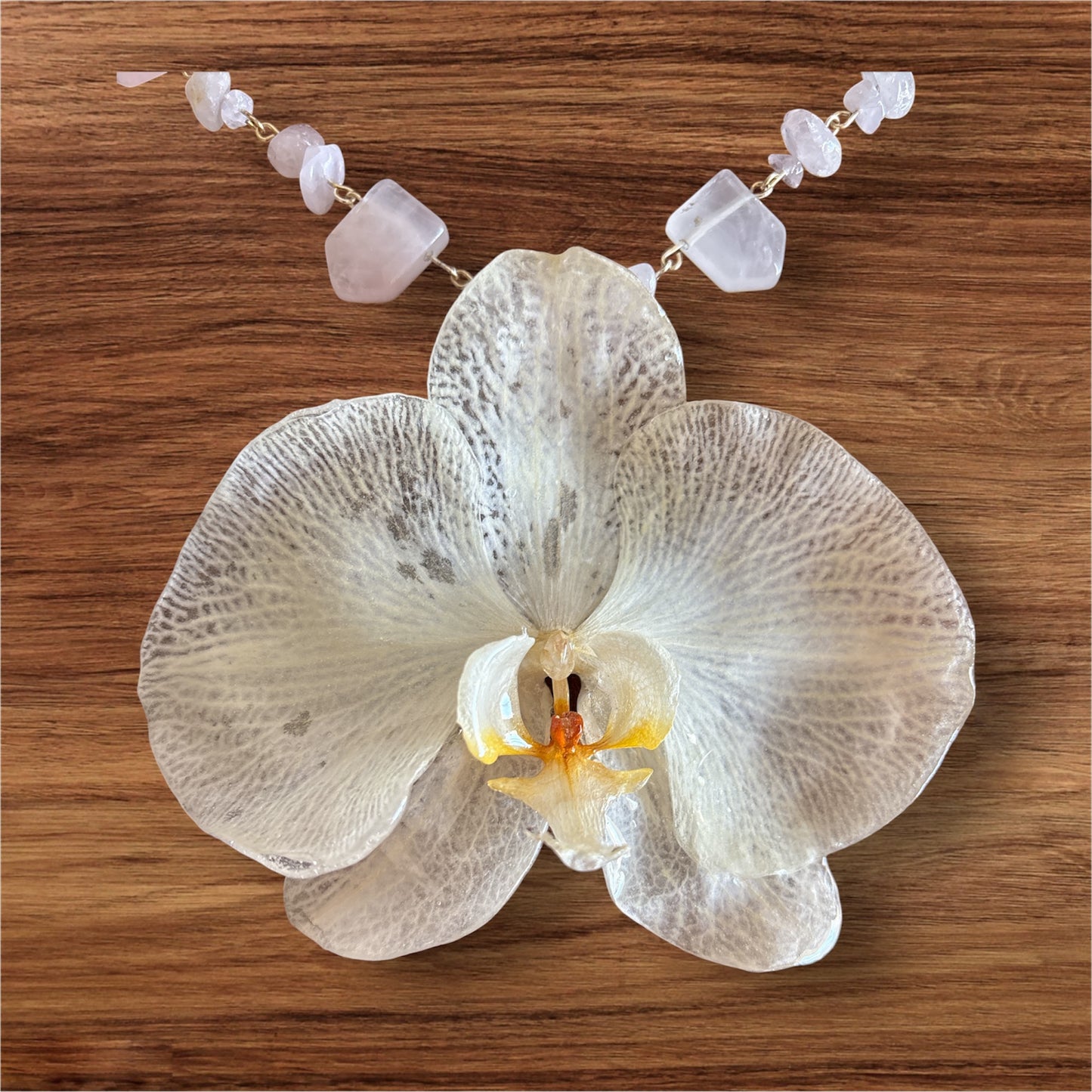 Orchid Sol