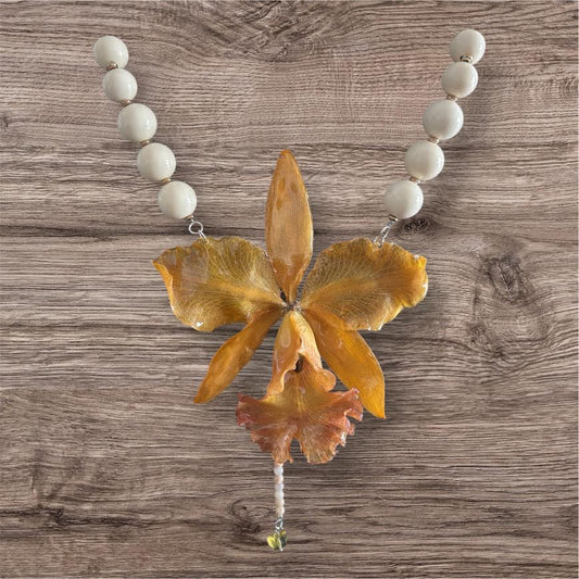 Golden Orchid Glow