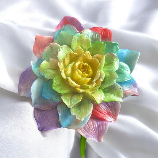 Beautiful eternal flower of various colors