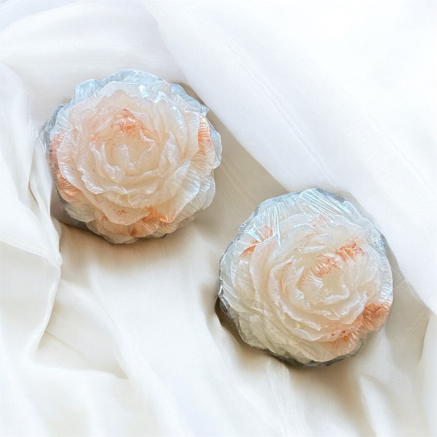 Beautiful Peonies