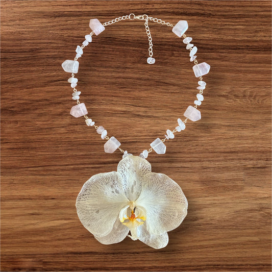 Orchid Sol