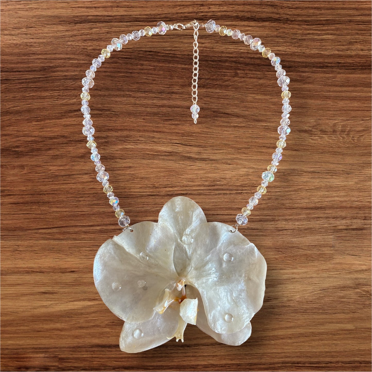 Eternal Pearl Orchid