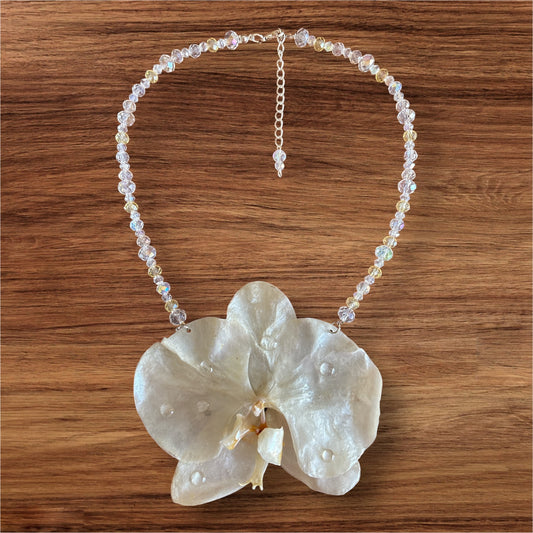 Eternal Pearl Orchid